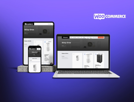 Development Ecommerce 1